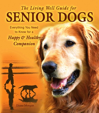 senior-dogs