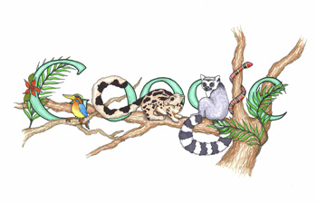 google-rainforest