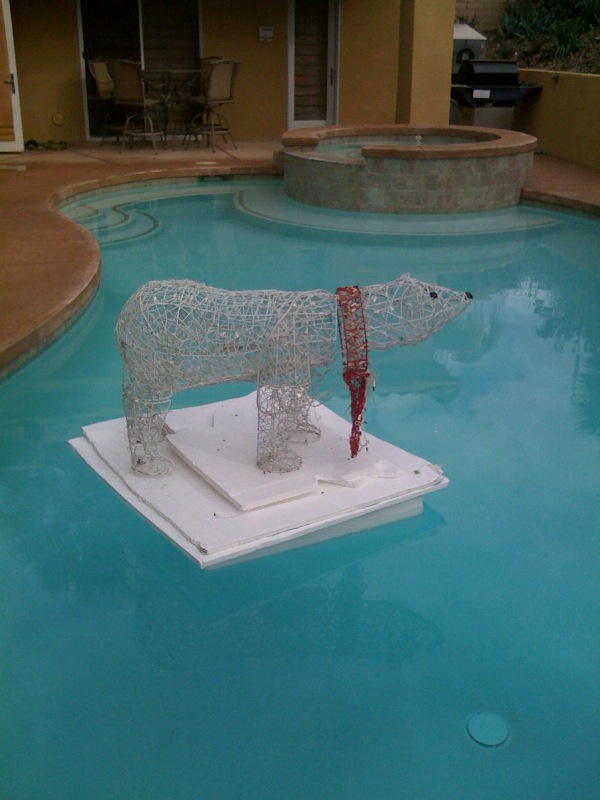 polar-bear-pool