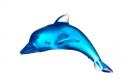 dolphin-glass.jpg