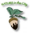 nature-in-the-city.png