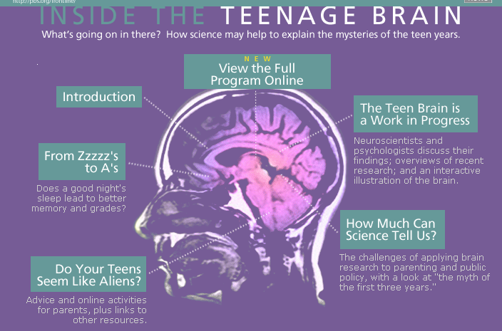 teenage brain