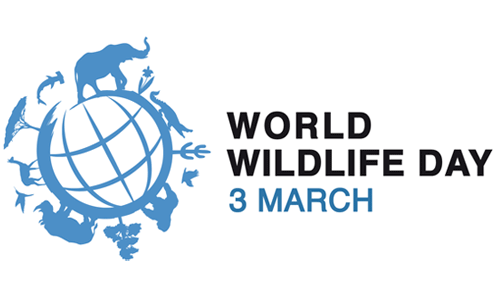 World Wildlife Day, Kids and Nature: Connect to Protect - Shaping Youth